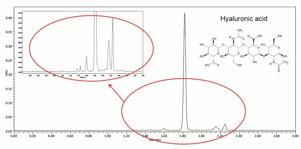 Chromatogram of a low molecular weight hyaluronic acid polymer