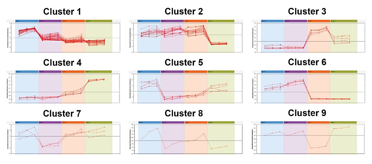 Progenesis QI Correlation Analysis of loadings plot differentiated compounds from four extracts of coffee beans