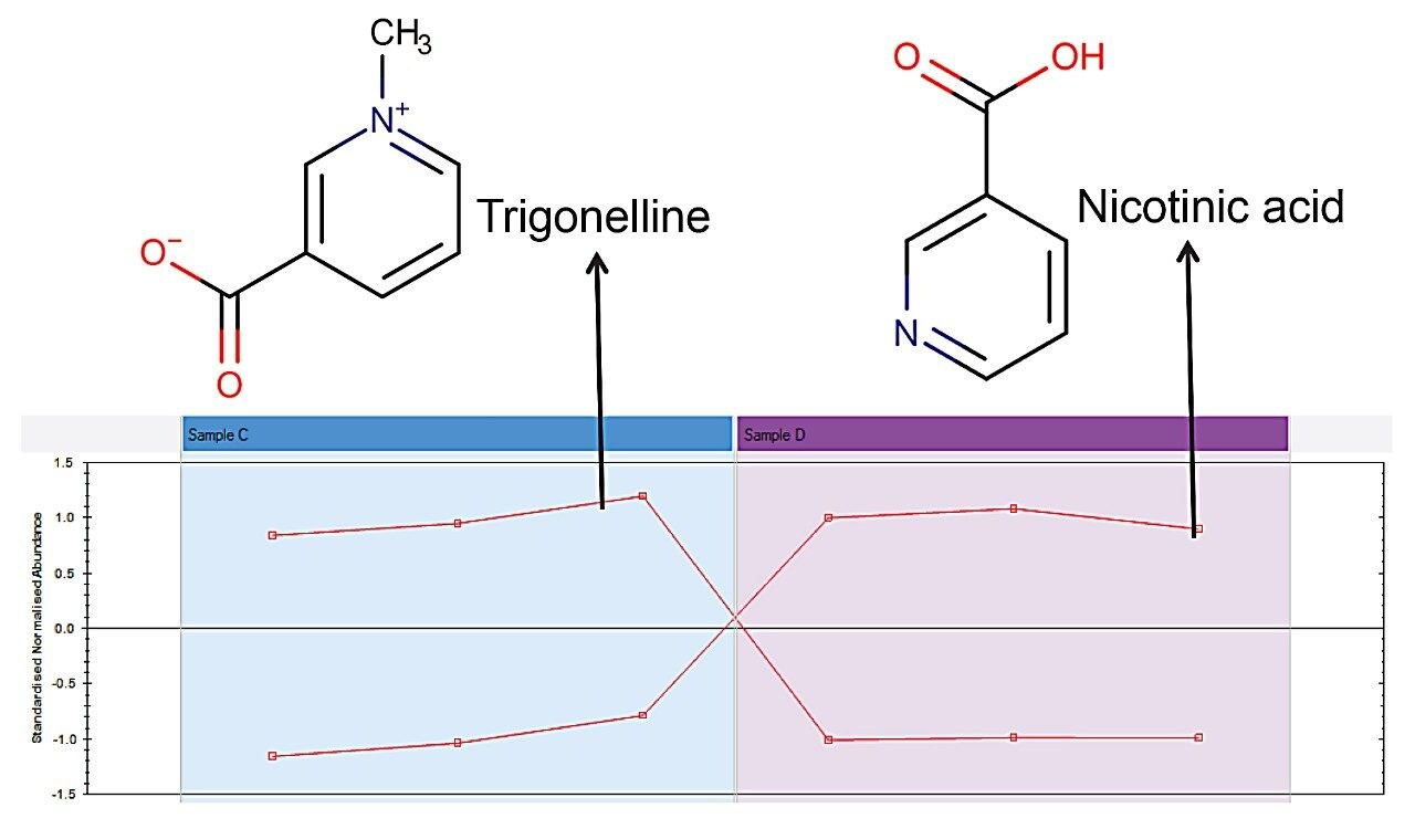 Standardized normalized abundance of trigonelline and nicotinic acid between two coffee bean extracts C and D 