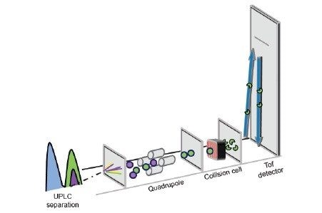 Schematic showing Tof-MRM analysis