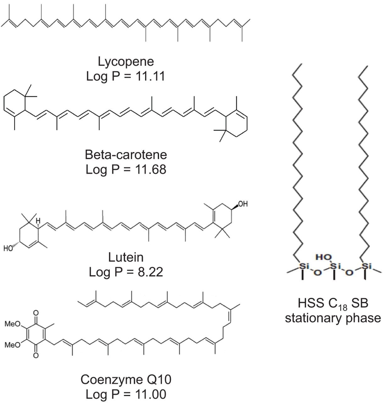 Molecular structure of lycopene, beta-carotene, lutein, and coenzyme Q10 