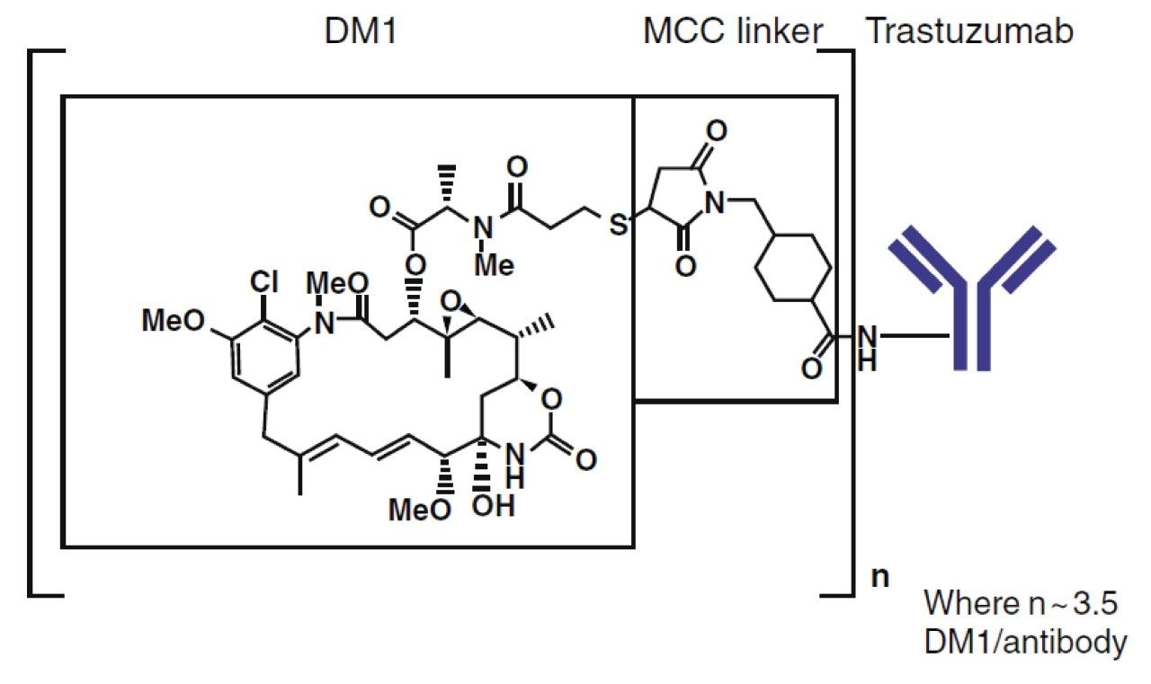  Structure of ado-trastuzumab emtansine