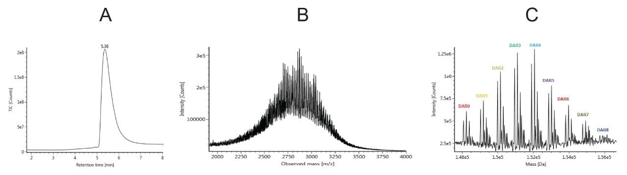 Representative T-DM1 chromatogram