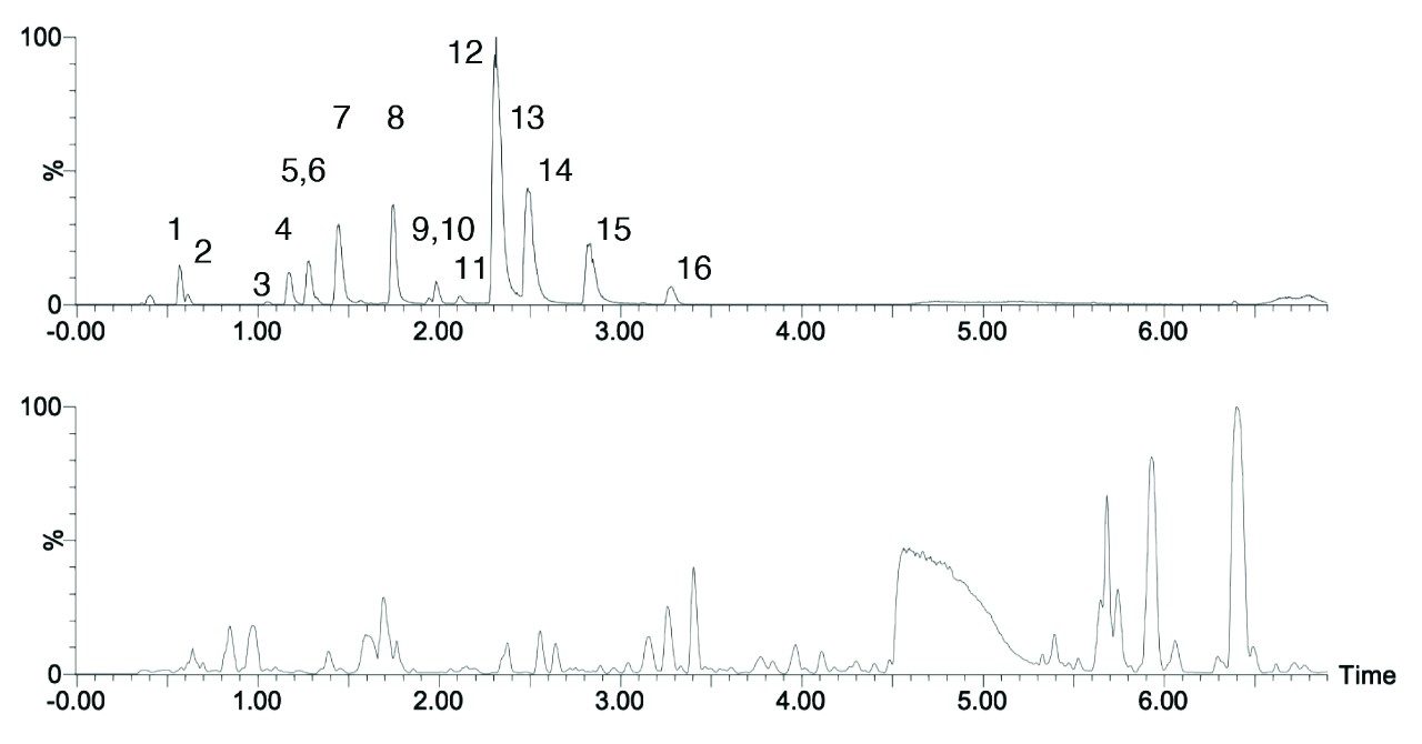 ACQUITY PREMIER CSH Phenyl-Hexyl カラムでの尿代謝物の分離。