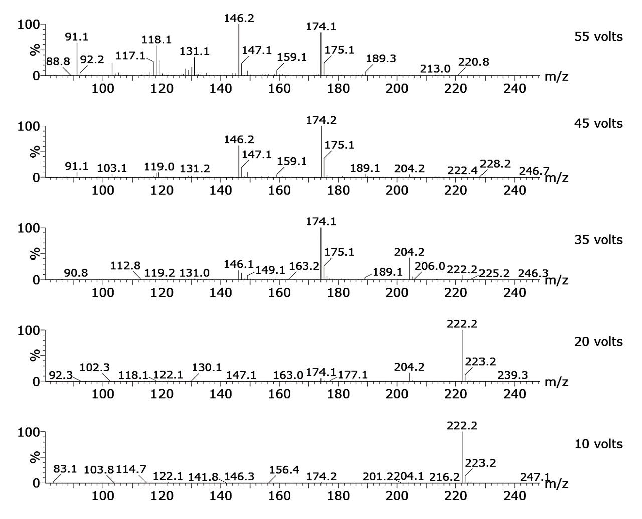 Spectra showing the in-source CID fragmentation pattern.