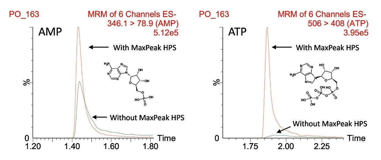 Separation of AMP and ATP 