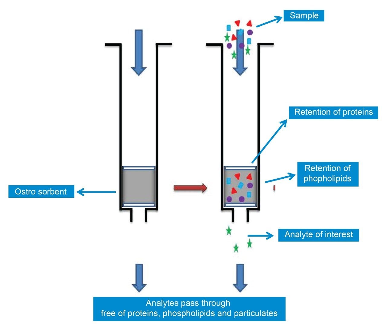 Ostro pass-through sample preparation extraction procedure