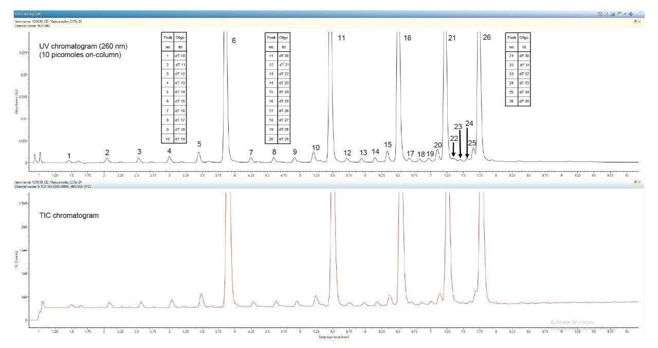  TUV and TIC chromatograms showing the separation of the major and minor oligonucleotide components