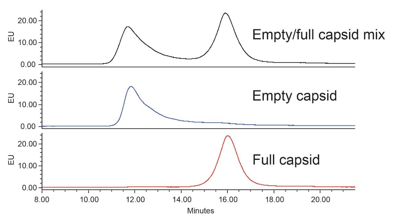 Optimized AEX method for AAV8 empty and full capsid separation.