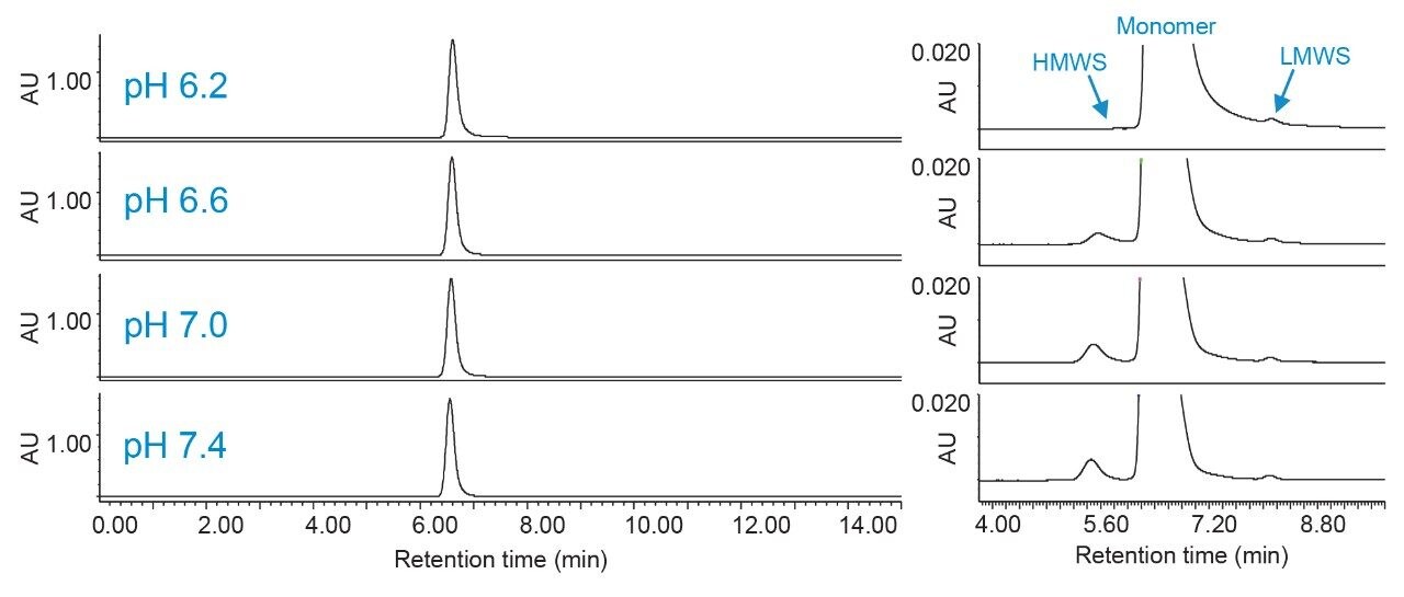 Effect of pH on SEC of trastuzumab.