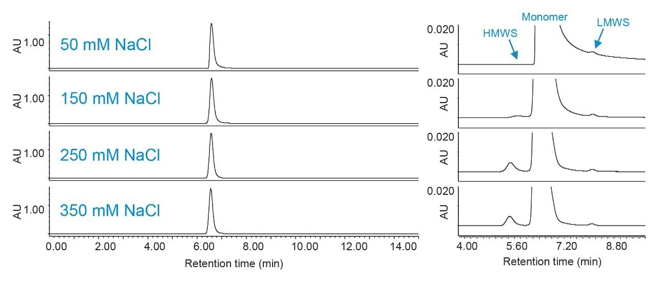 Effect of salt concentration on SEC of trastuzumab.