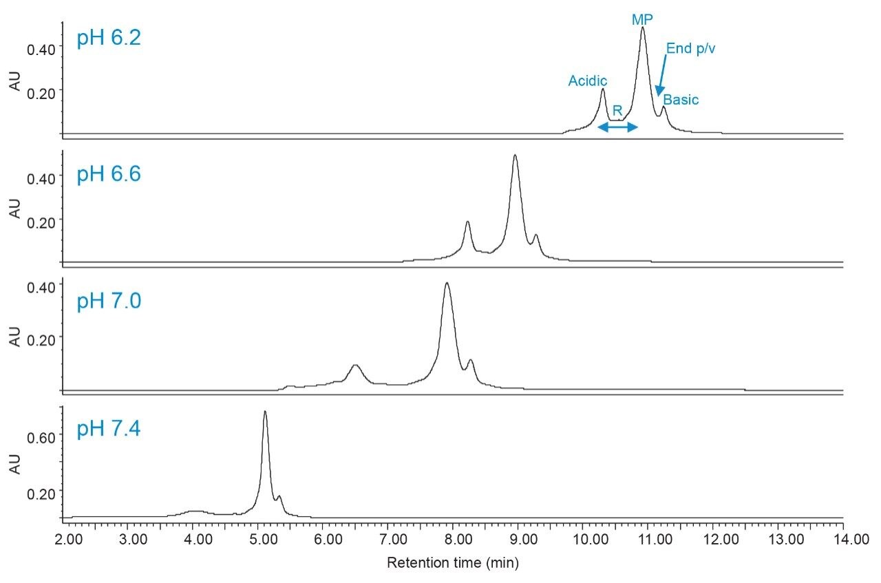 Effect of pH on charge variant analysis of trastuzumab.