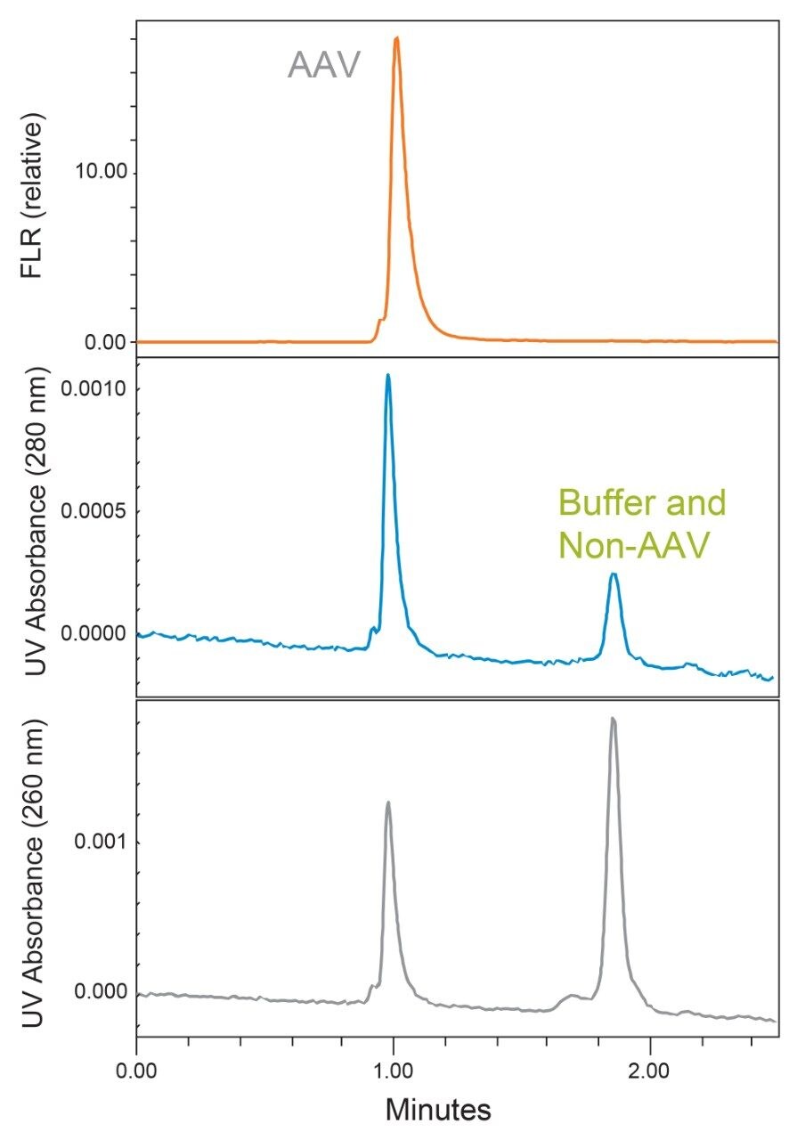 Comparison of the SEC UV absorbance responses 