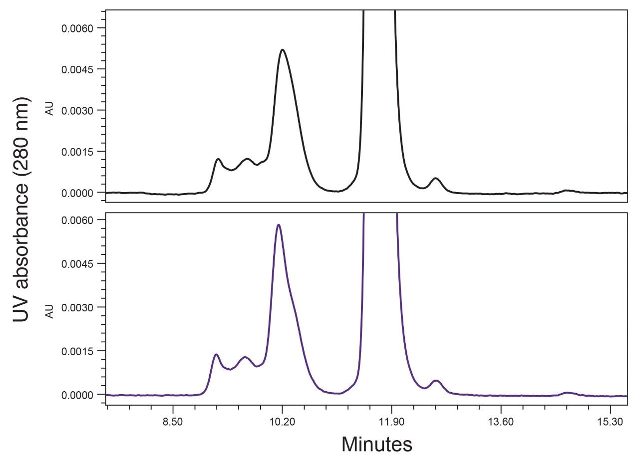 SEC separations of cetuximab.