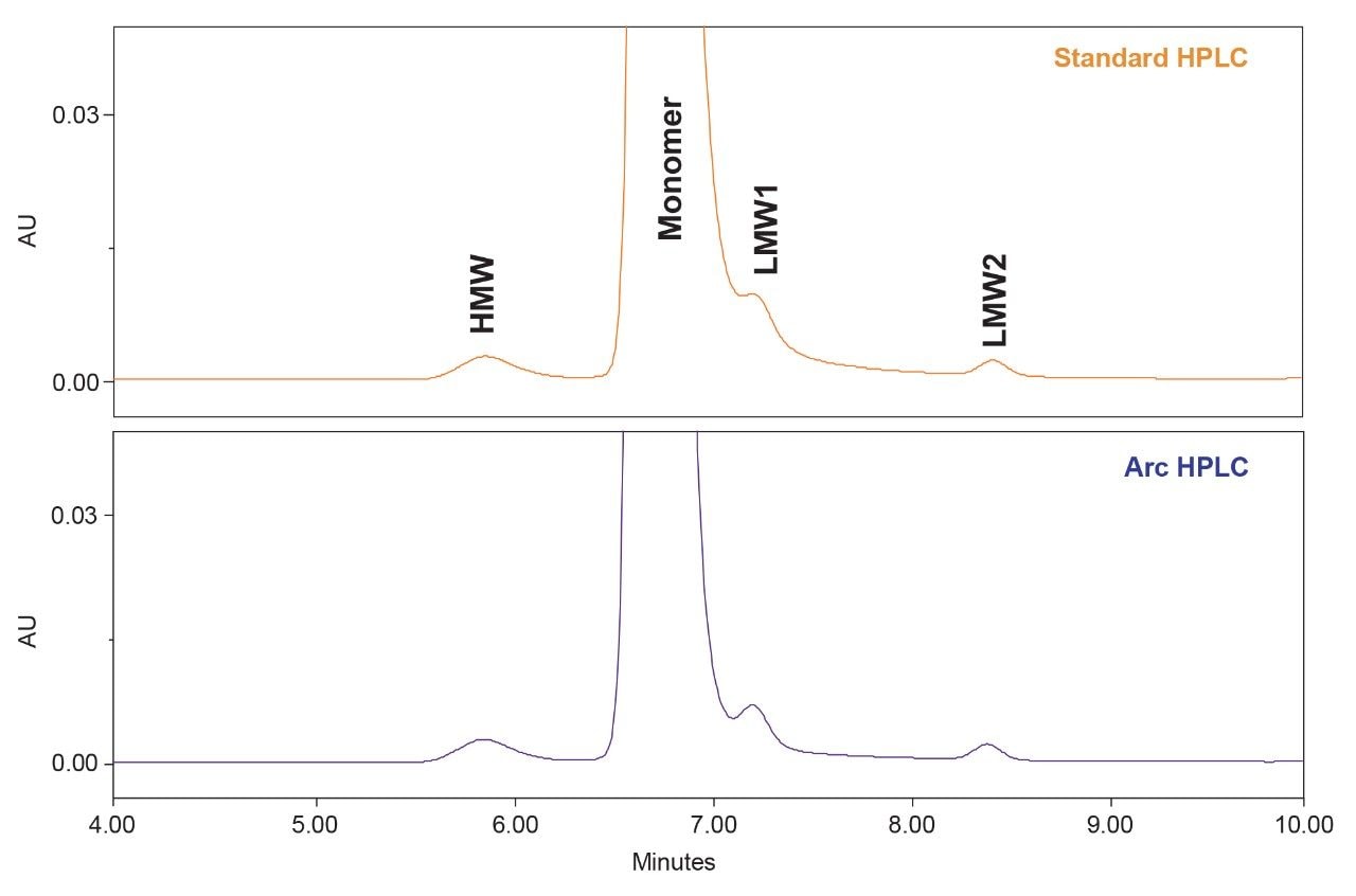 SEC chromatograms for trastuzumab 