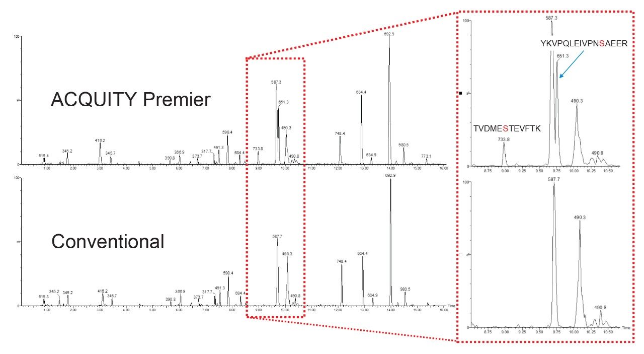 Chromatograms from injection of 1pmol Alpha Casein.