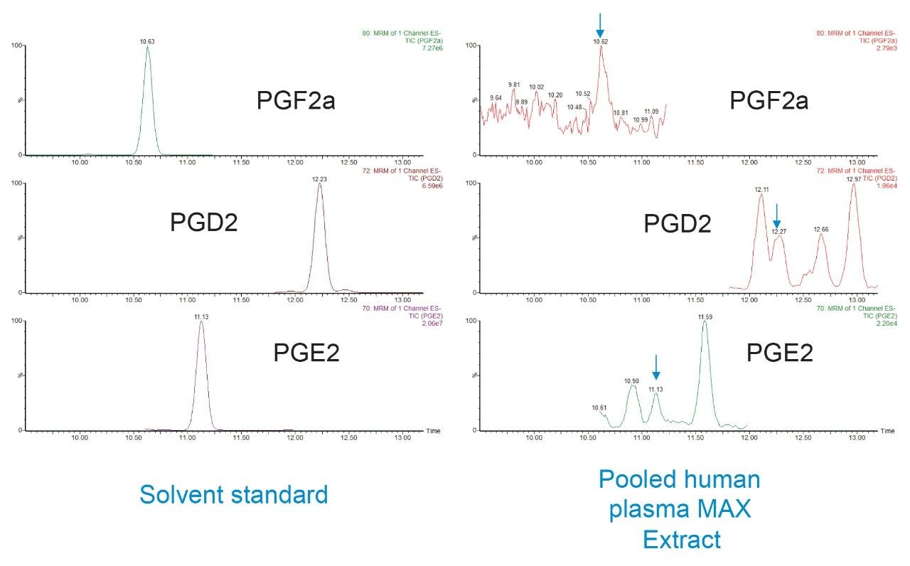 UPLC-MS/MS chromatograms