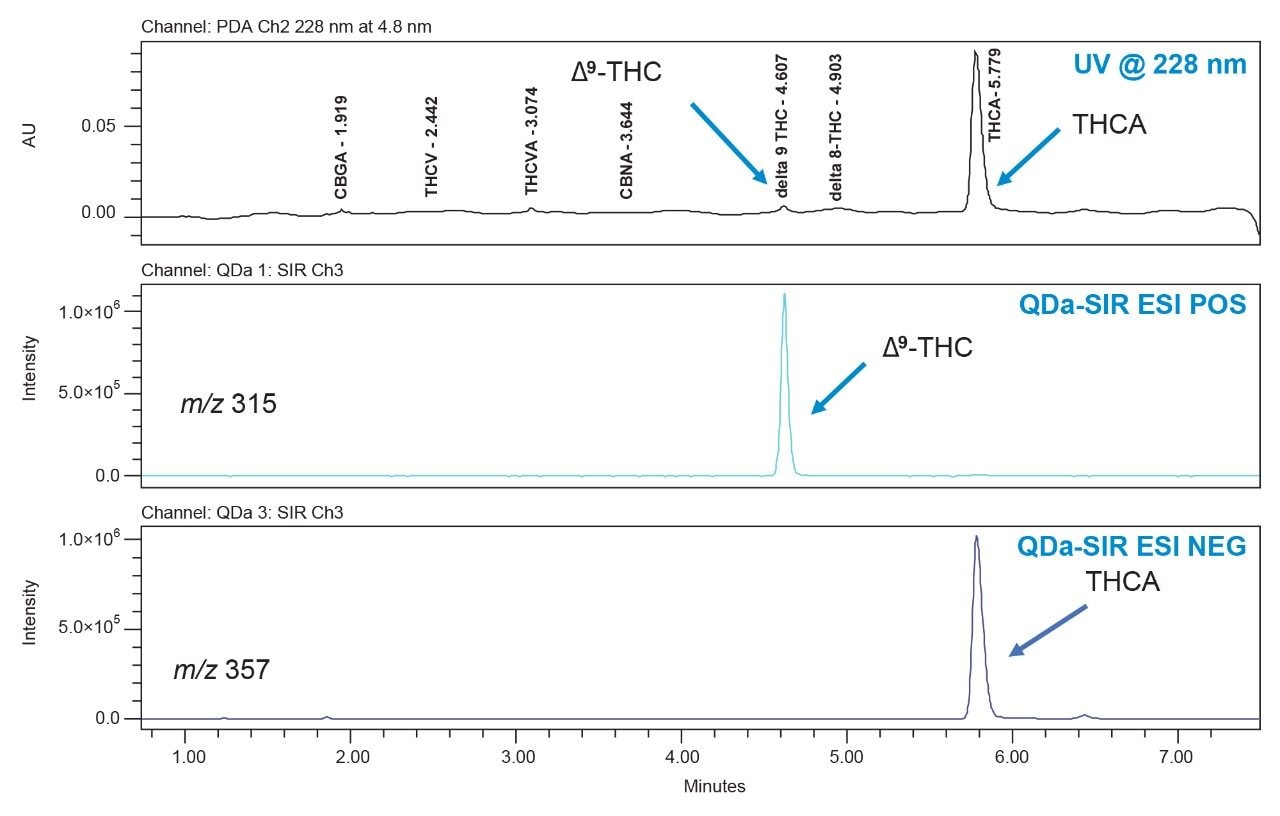 Chromatograms from the analysis of a high Δ 9-THC variety flower sample analyzed using UV at 228 nm and SIR of m/z 315 and m/z 357. MS analysis increases the confidence in the identification of Δ9-THC in the sample.