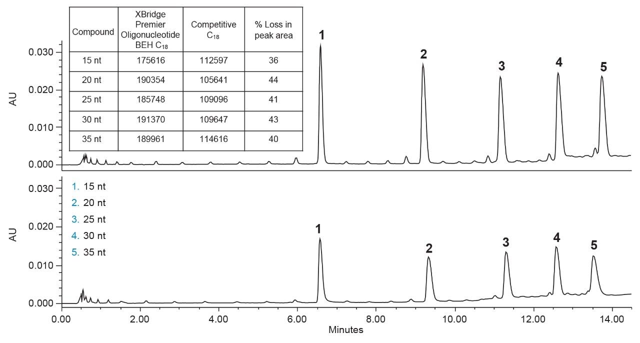 Separation of five oligonucleotides.