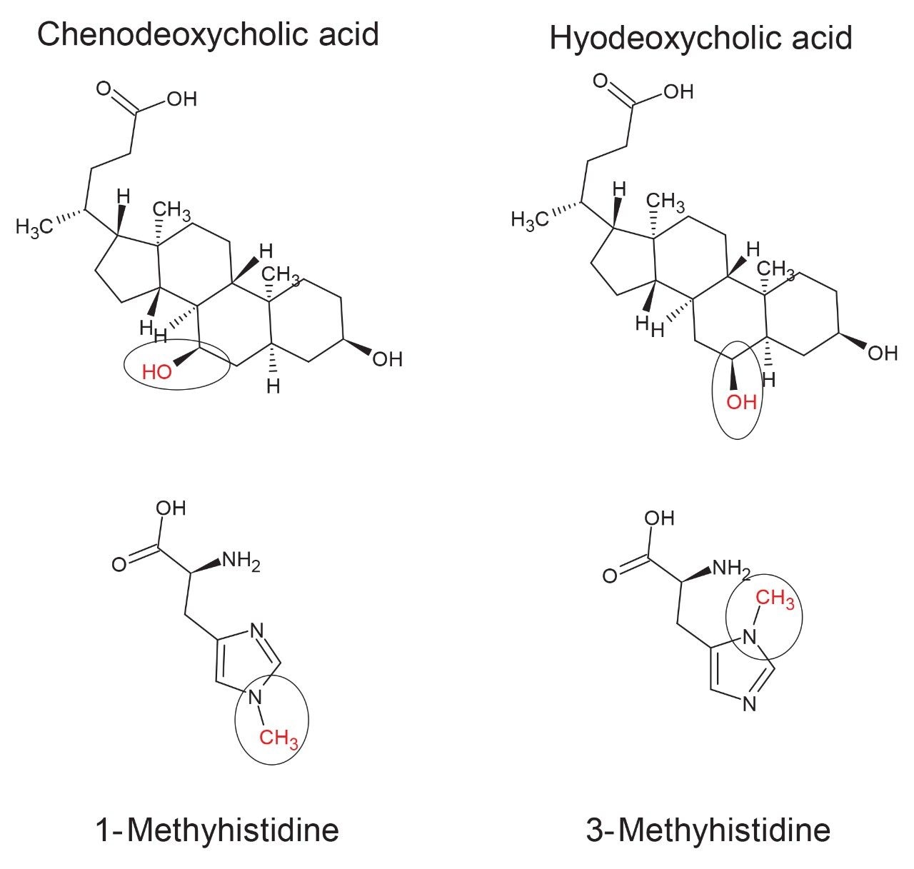 Chemical structures of the bile acid and methylhistidine compounds investigated