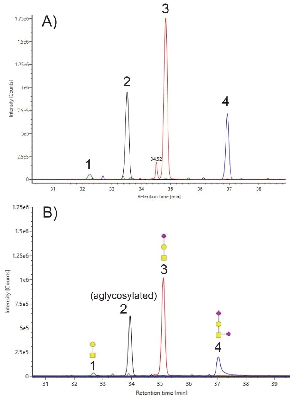 Extracted ion chromatogram overlays of T13 O-glycopeptide.