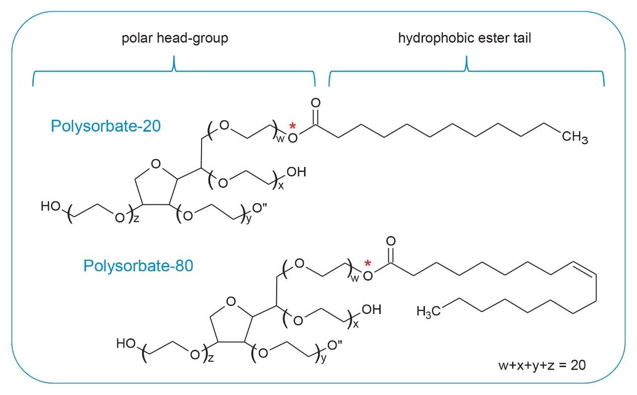 Structure of polysorbate