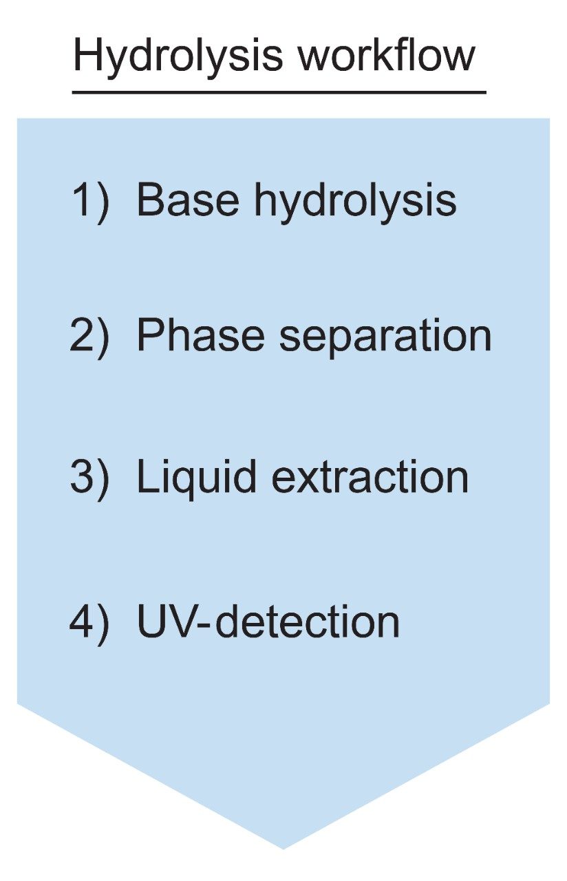 Analysis Workflow