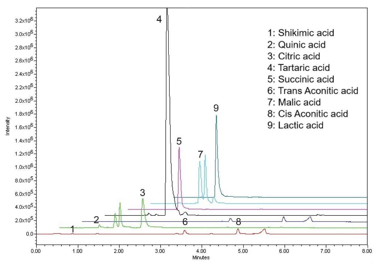 Analyse organischer Säuren einer Rotweinprobe mit der ACQUITY Premier CSH Phenyl-Hexyl-Säule