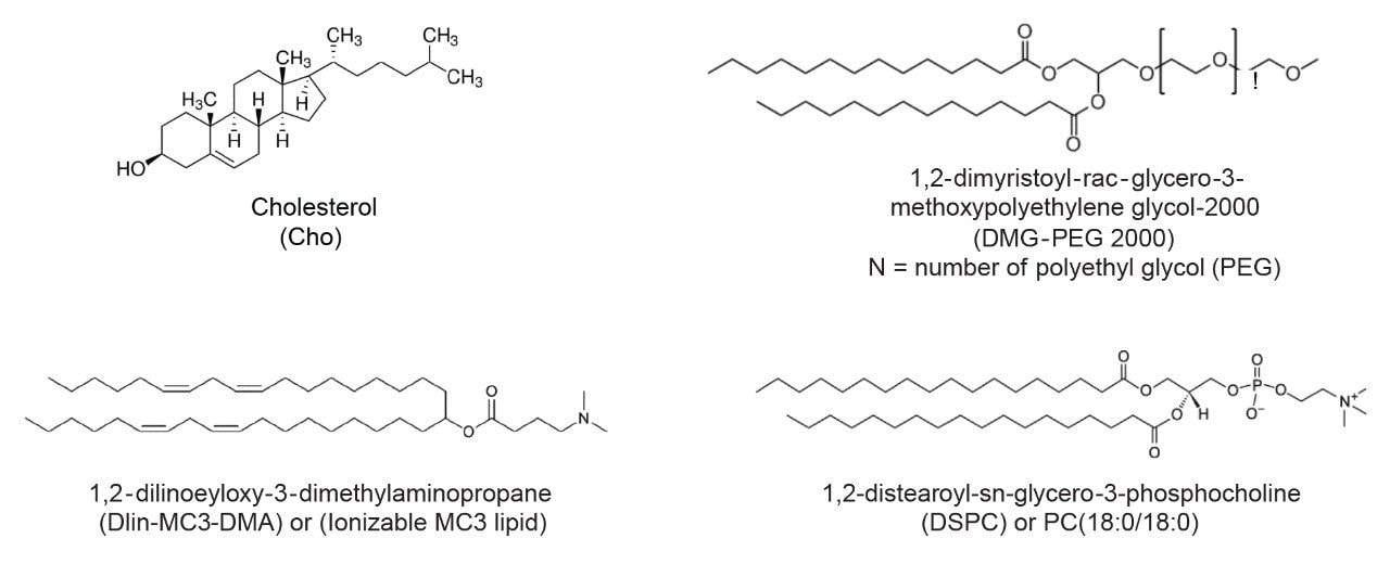 Structure of the four investigated lipid nanoparticle components