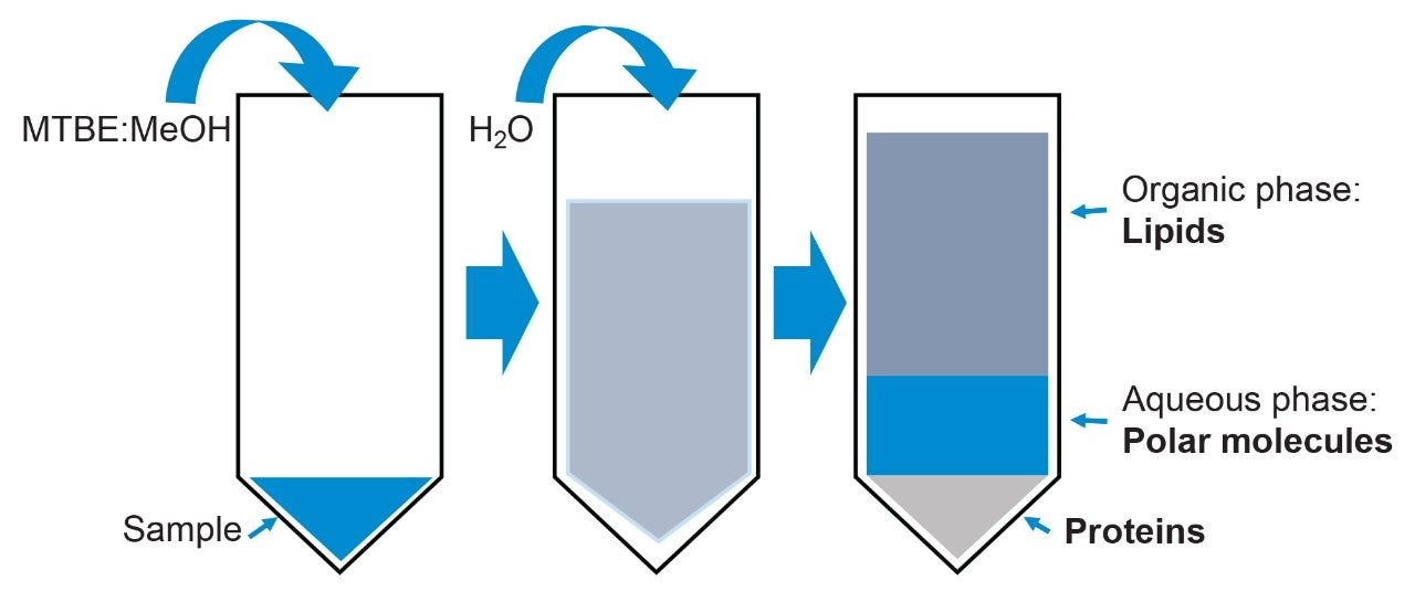 MTBE extraction procedure for lipids and polar molecules from biological matrices