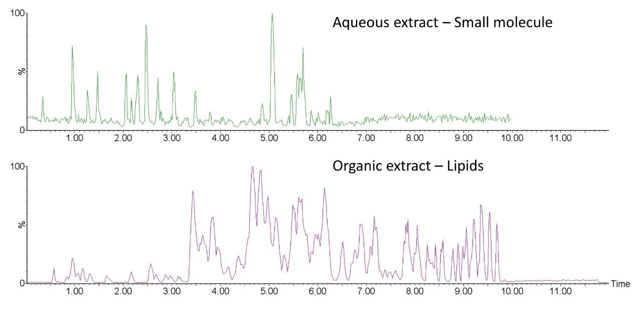 Representative chromatograms from the aqueous and organic phases following the MTBE extraction of human sputum