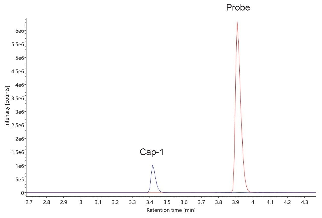 Overlaid XICs of Cap-1 and a representative probe from an equimolar solution using an ACQUITY Premier Oligonucleotide BEH C18, 1.7 μm, 2.1 x 50 mm Column.