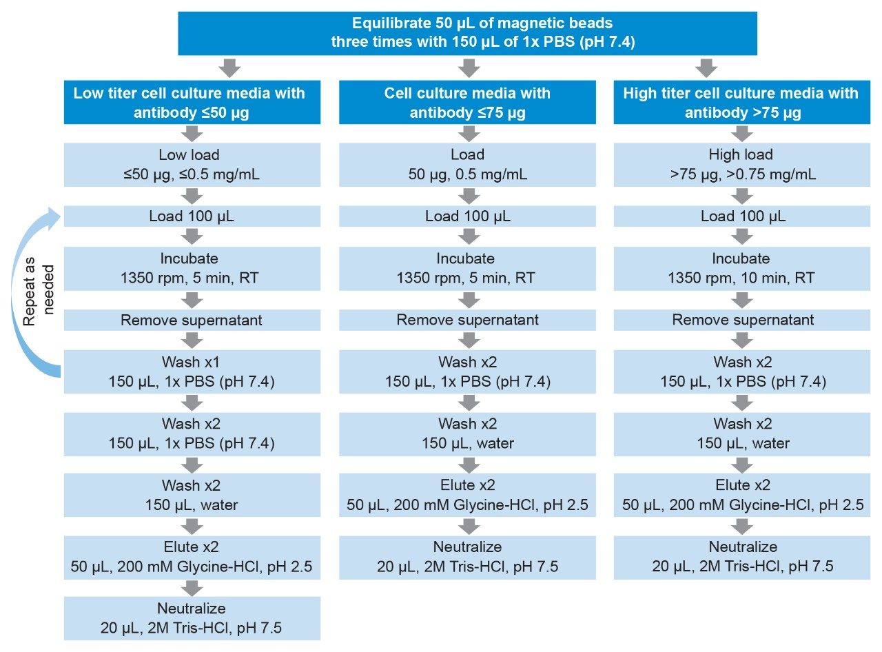 Flow diagram of automated antibody purification procedures