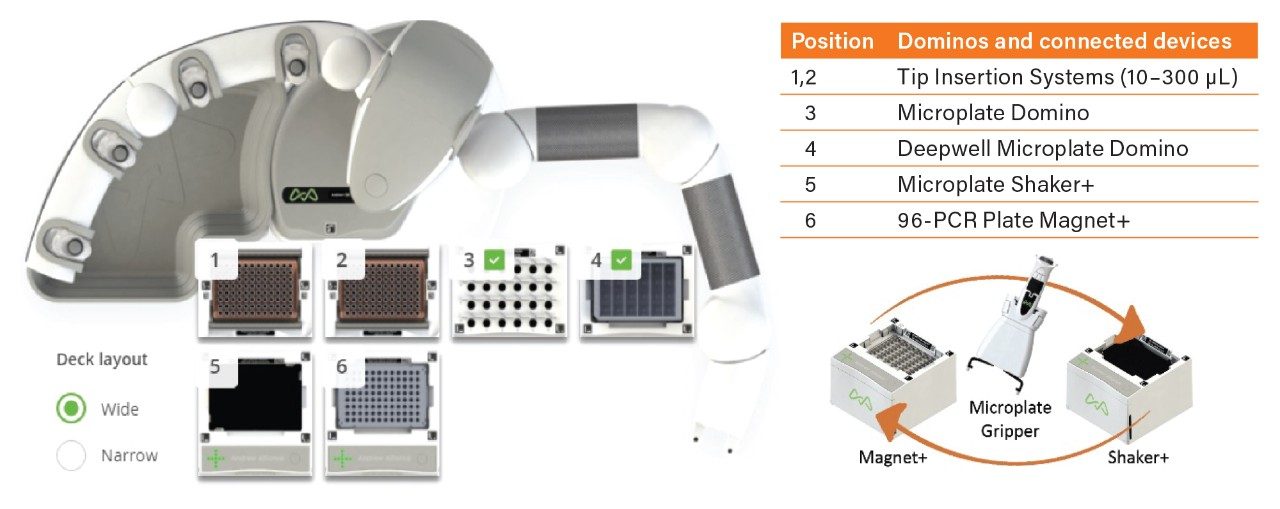 Andrew+ Dominos and Connected Devices configuration for the rapid automated antibody purification eight-sample protocol