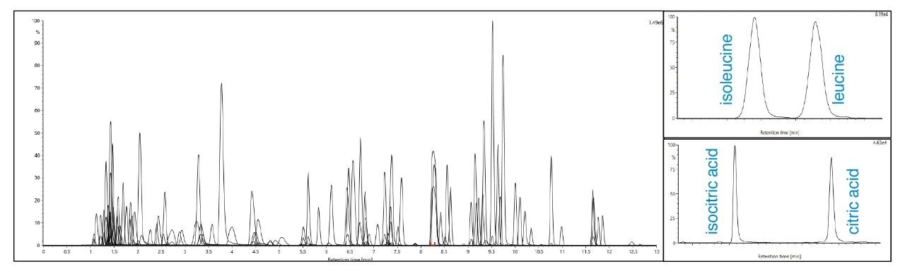 Overlaid extracted ion chromatogram (XIC) of general compound coverage, isobaric pair isoleucine/leucine, and isocritic acid/citric acid  