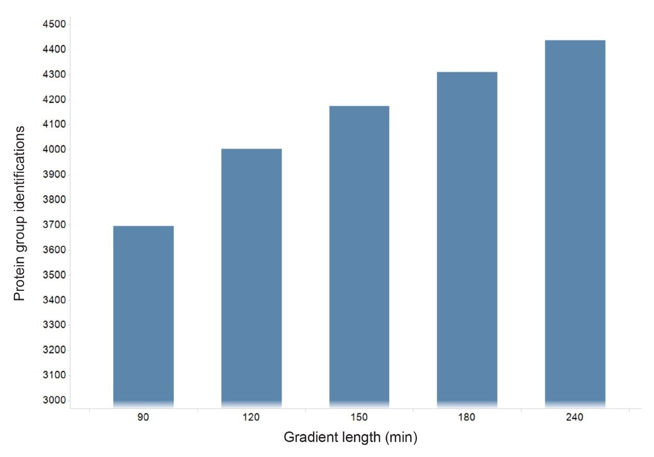 Protein identifications (FDR 1%) at different gradient lengths ranging from 90- to 240-minutes