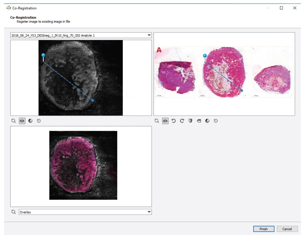 The method for overlaying optical and MS data within the SCiLS Lab Software