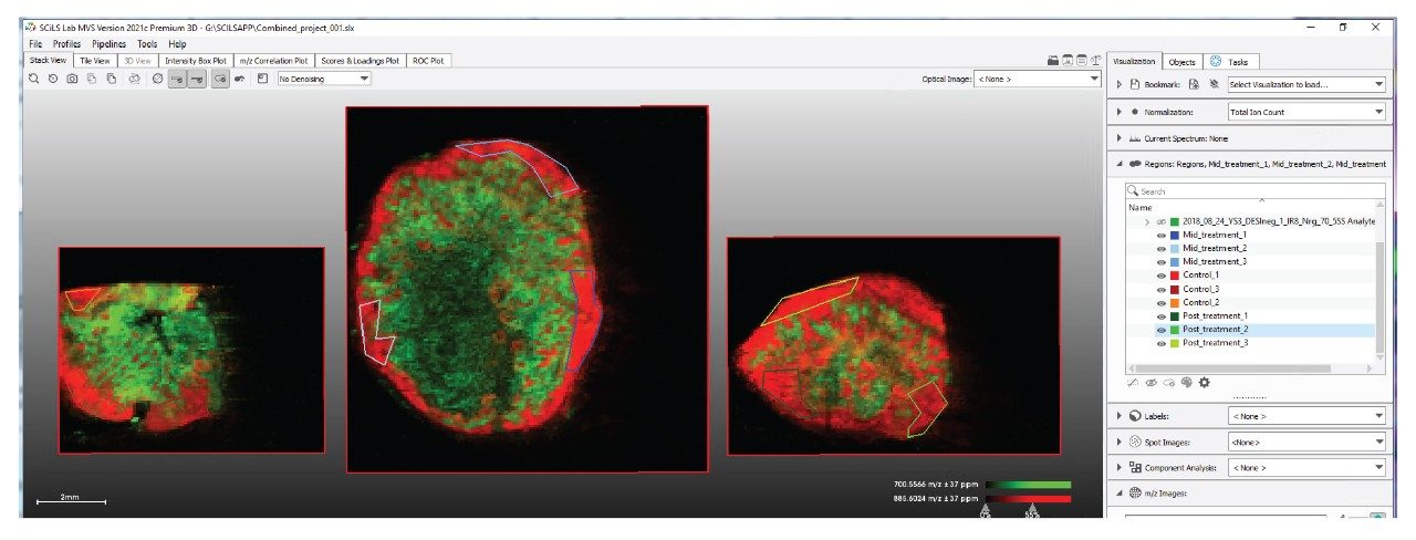 Draw regions of interest on the data (optical or MS directed)