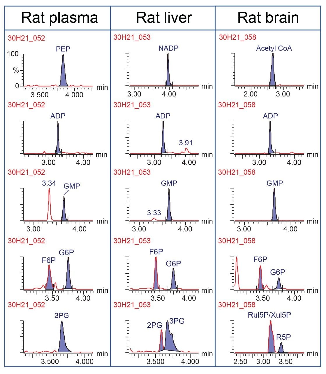 Representative chromatograms of analytes in rat plasma and tissue extracts