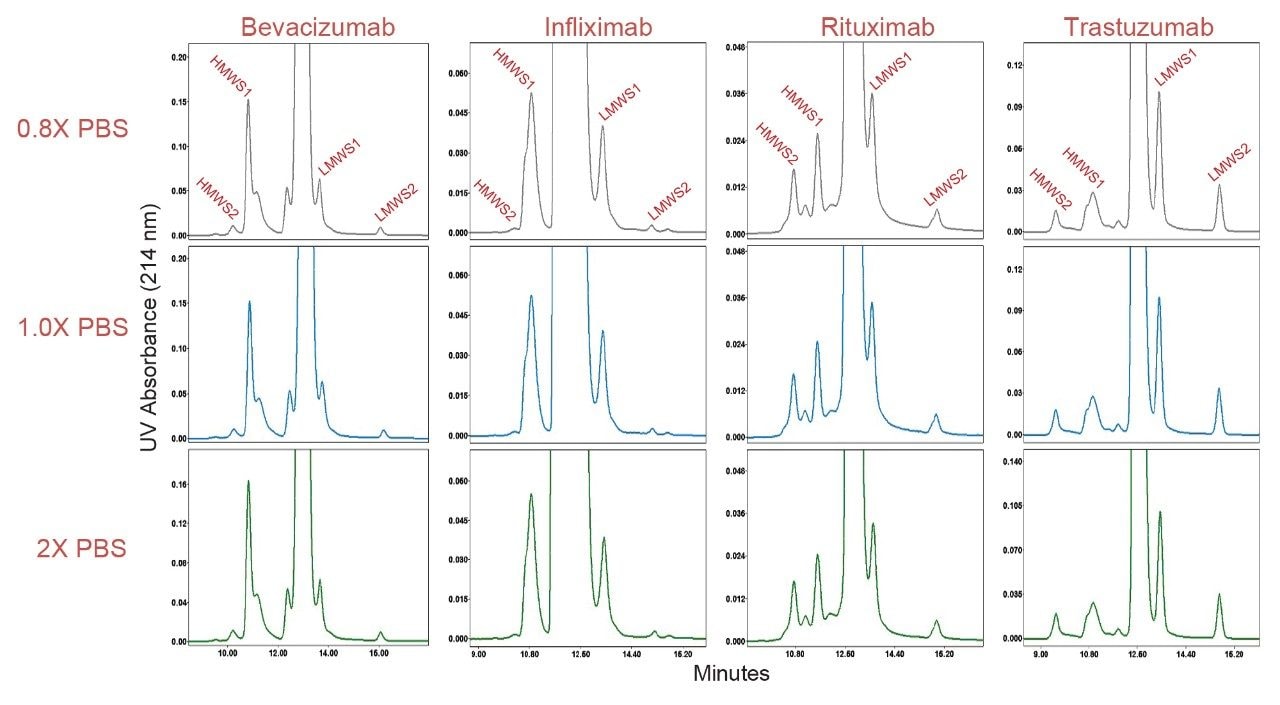 Stacked plots of biosimilar mAb samples at varying concentrations of Dulbecco’s phosphate buffer saline using an XBridge Premier Protein SEC 250 Å, 2.5 µm, 7.8 x 300 mm column are shown. Experimental conditions provided in text.