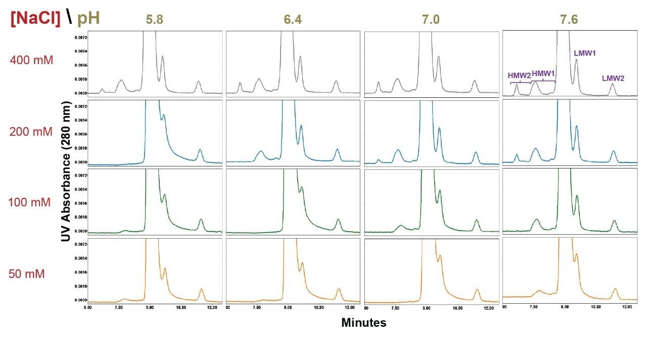 Trastuzumab drug product SEC separations using a BioResolve SEC mAb column (200vÅ, 2.5µm, 7.8 X 300 mm) are shown for pH values ranging from 5.8 to 7.6 (20 mM sodium phosphate) and sodium chloride (NaCl) concentrations ranging from 50 mM to 400 mM.