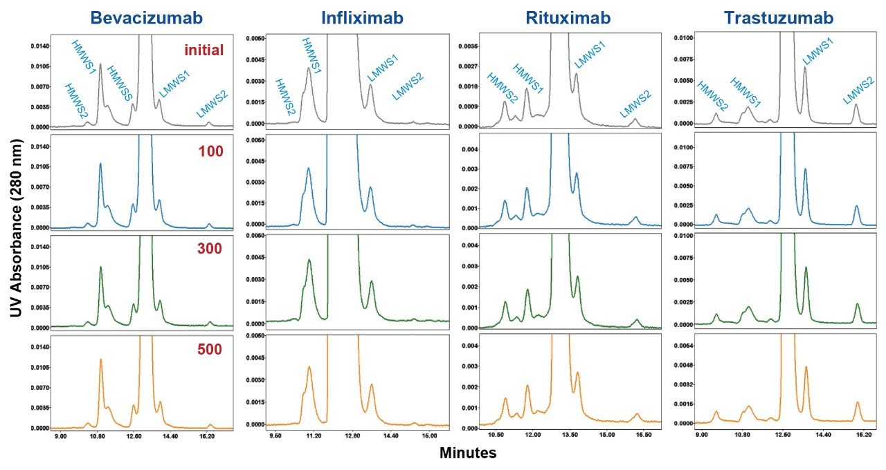 XBridge Premier 250 Å SEC column expanded-scale chromatograms of biosimilar mAb sample SEC separations from lifetime study. Approximate initial injection and injection numbers 100, 300, and 500 are shown. DPBS was used as a mobile phase and the flow rate was 0.50 mL/min. Additional experimental conditions and peak descriptions are provided in text. 