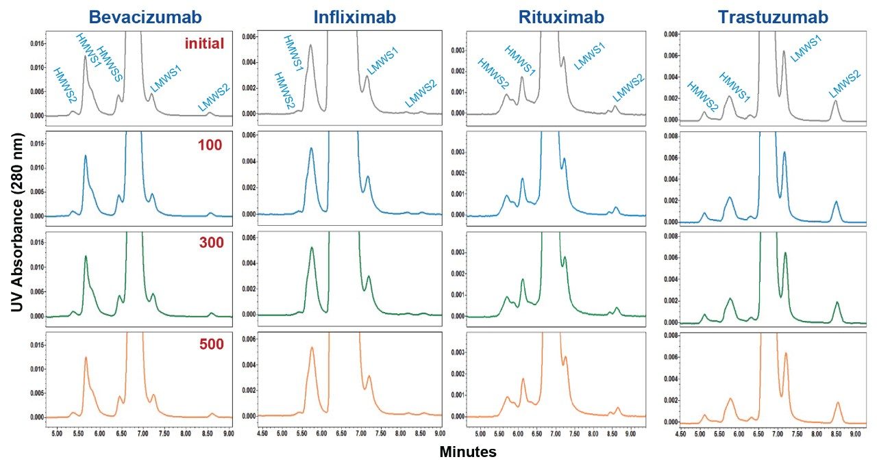 ACQUITY Protein BEH 200 Å SEC expanded-scale chromatograms of biosimilar mAb sample SEC separations from column lifetime study are presented. Approximate initial injection and injection numbers 100, 300, and 500 are shown. DPBS was used as a mobile phase and the flow rate was 0.35 mL/min. Additional experimental conditions and peak descriptions are provided in text. 