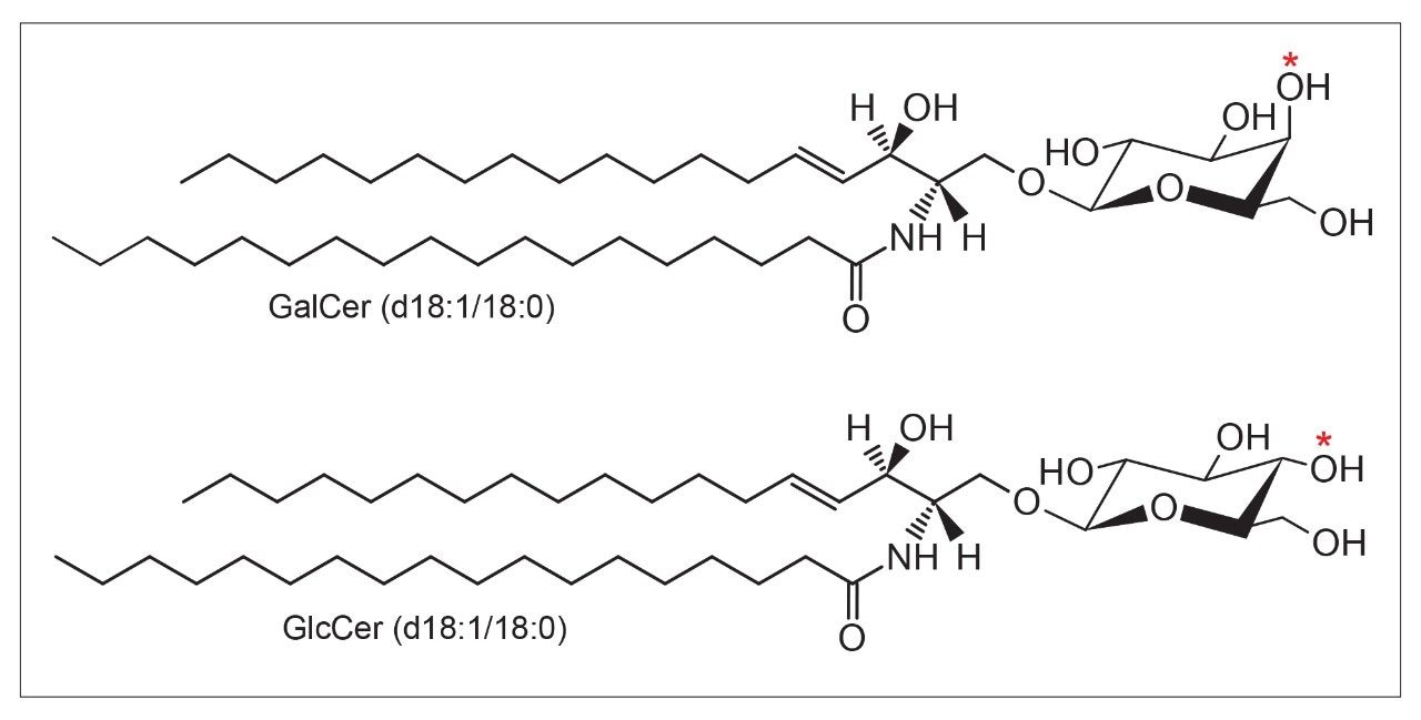 The chemical structure of analysed GalCer and GlcCer isomers. The difference in the position of the hydroxyl group at the C-4 position is indicated by red asterisk.