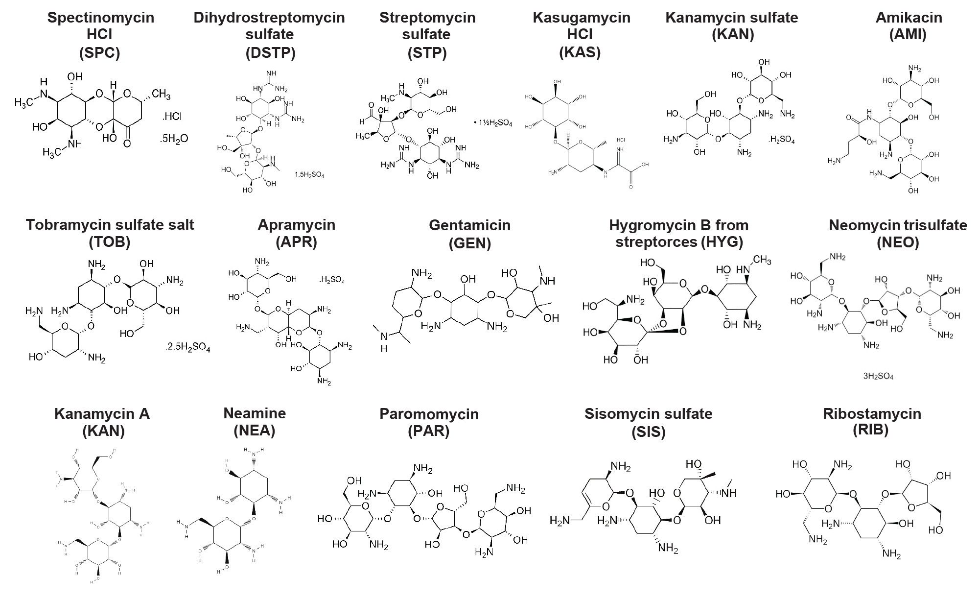 Chemical structures of 16 aminoglycosides that have been tested in this study