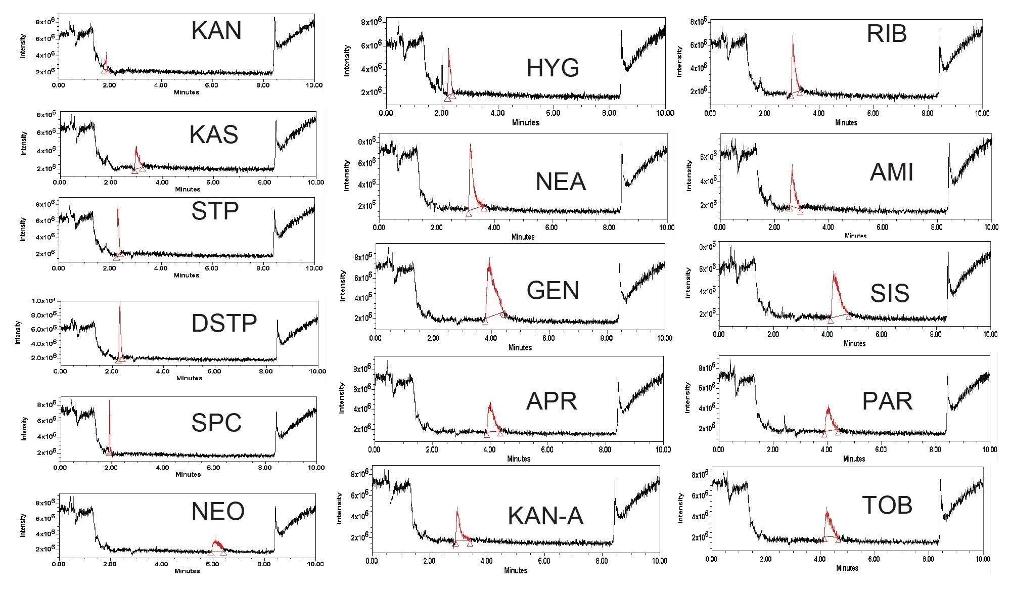 . Total Ion Chromatograms (TIC) of individual standards of the 16 aminoglycosides shown in Figure 1. Chromatographic conditions are: a pH of 7.3, a 20 mM buffer concentration (ammonium formate), a temperature of 50 °C, a flow rate of 0.5 mL min-1 and a gradient time of ten minutes, and an Atlantis Premier BEH Z-HILIC Column (2.1 x 2.5 µm x 10 cm)