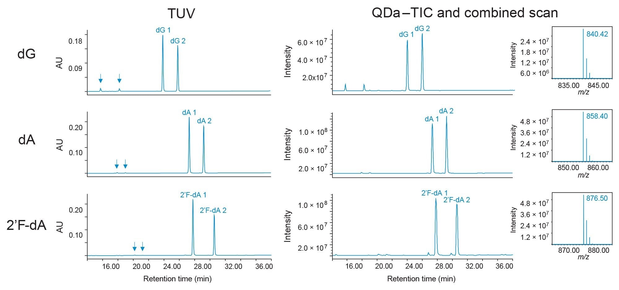  LC-UV-QDa results for dG, dA, and 2’F-dA phosphoramidites prepared at 0.1 mg/mL. Chromatograms and TICs show good agreement where the two product peaks arise from a chiral center at the phosphorous atom. Arrows in the TUV trace indicate oxidation of P(III) to P(V), which are more clearly seen in the TIC. Insets show isotope patterns for each amidite where the reported mass is for the [M+H]+ monoisotopic ion. Insets are the average of 18 scans of dG 1, dA 1, and 2’F-dA 1, respectively, where dG 2, dA 2, and 2’F-dA 2 yield similar results