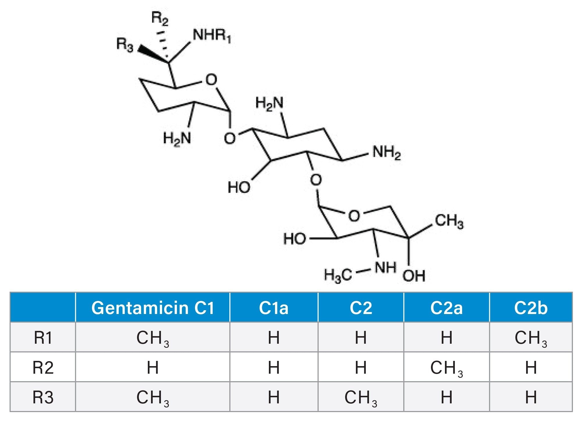 Structures of gentamicin compounds