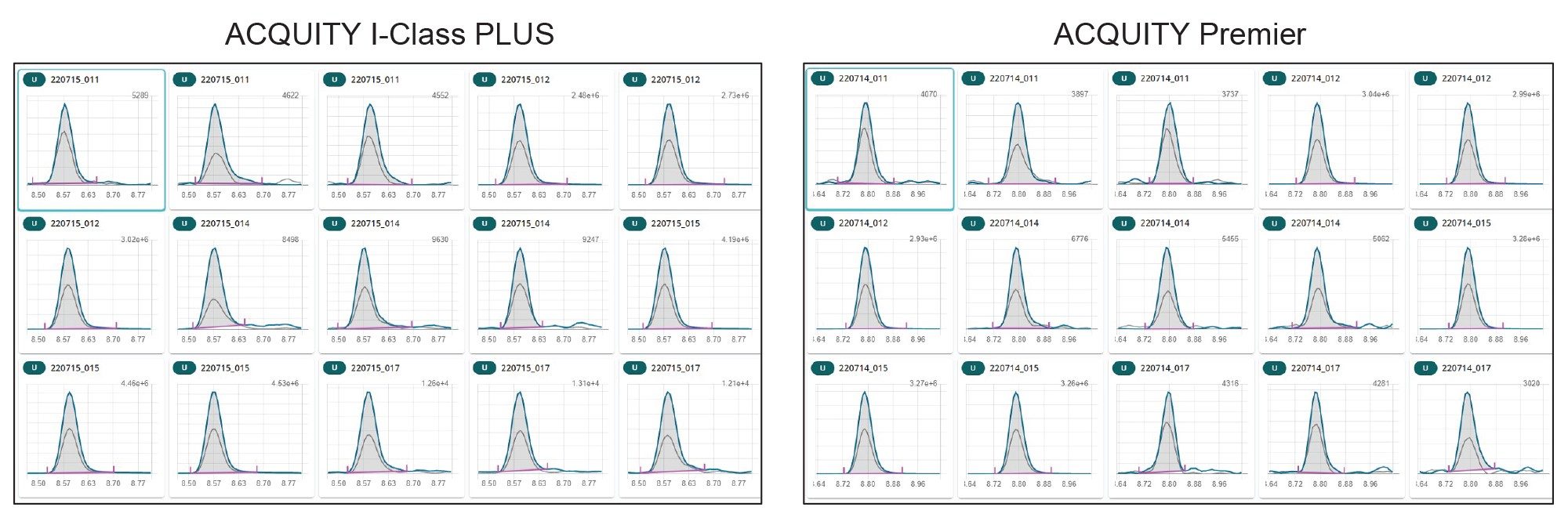 Chromatographic traces of fumonisins B2 in cereal samples using two different system configurations