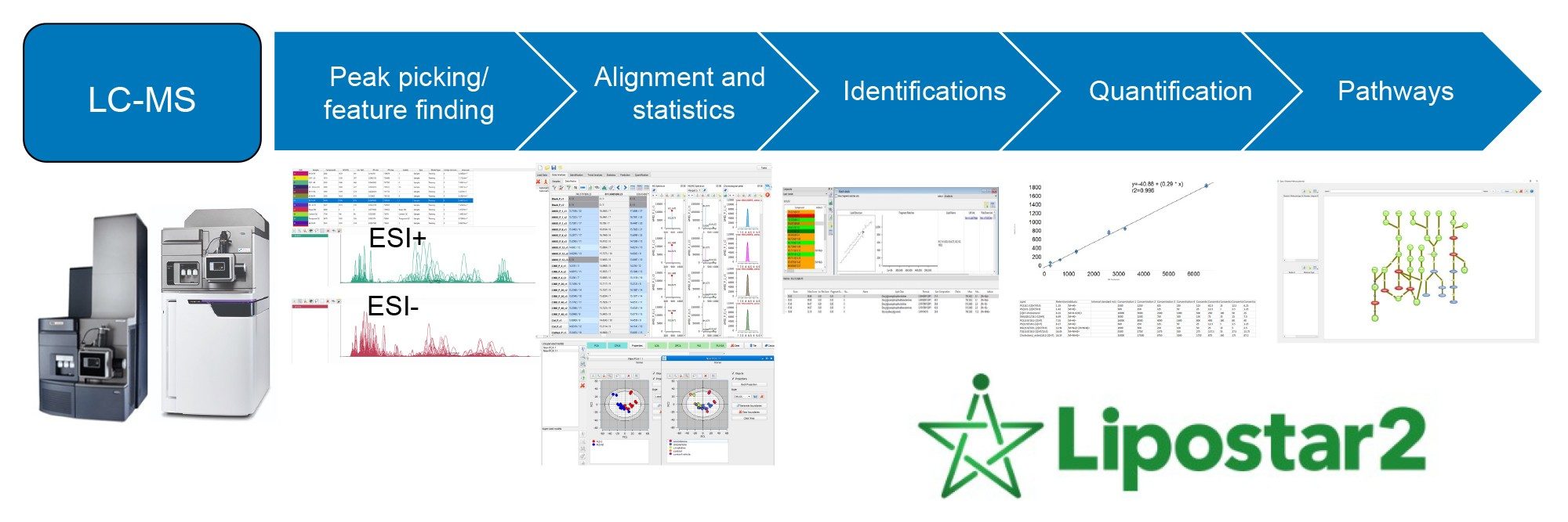 Overview of the Lipostar workflow